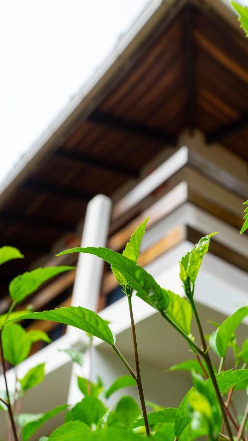 Hotel Luna Llena Tamarindo Zewnętrze zdjęcie