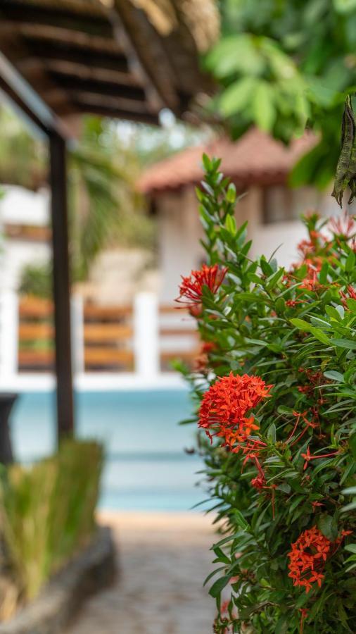 Hotel Luna Llena Tamarindo Zewnętrze zdjęcie